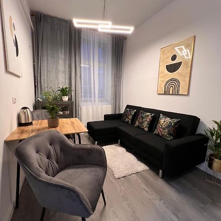Musai Apartment براشوف المظهر الخارجي الصورة