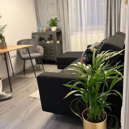 Musai Apartment براشوف المظهر الخارجي الصورة