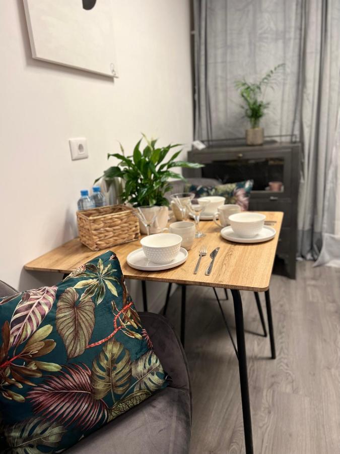 Musai Apartment براشوف المظهر الخارجي الصورة