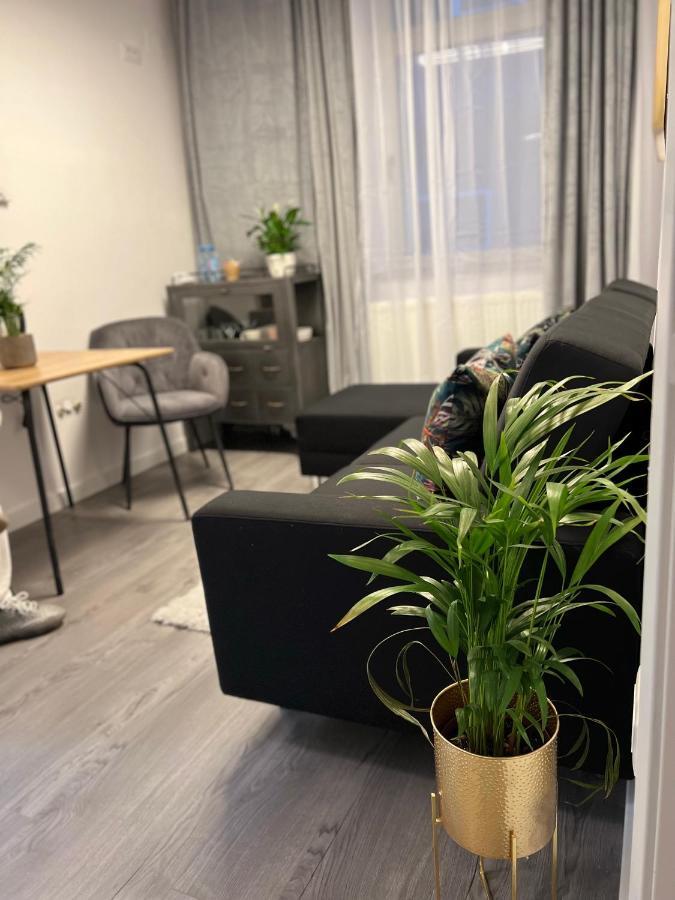 Musai Apartment براشوف المظهر الخارجي الصورة